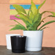 Majestic Full Depth Cylinder Planters Majestic Full Depth Cylinder Planters